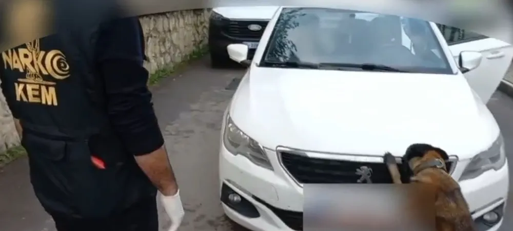 Sakarya’da 92 Kilo Bonzai Hammaddesi Ele Geçirildi