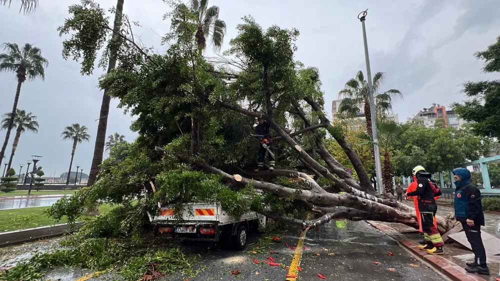 Mersin’de Devrilen Ağaç Trafikte Paniğe Neden Oldu: 3 Araçta Hasar