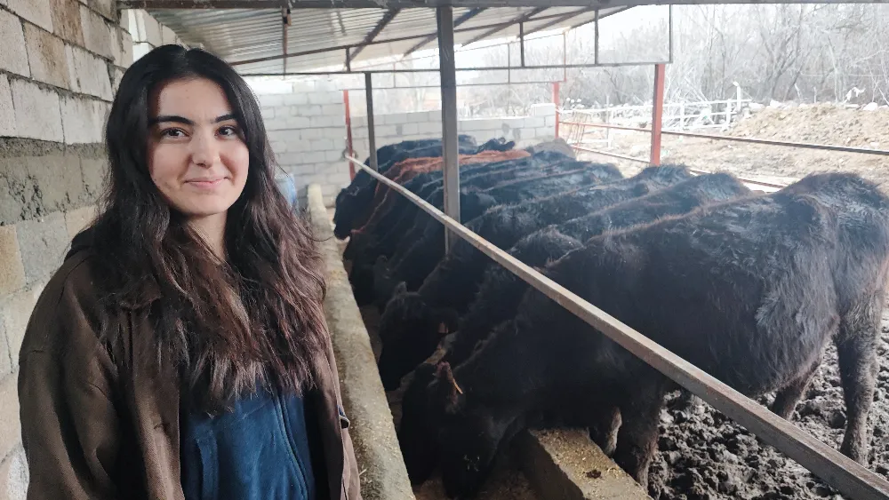 Atama Bekleyen Genç Sağlıkçı, Hayvancılığa Yöneldi