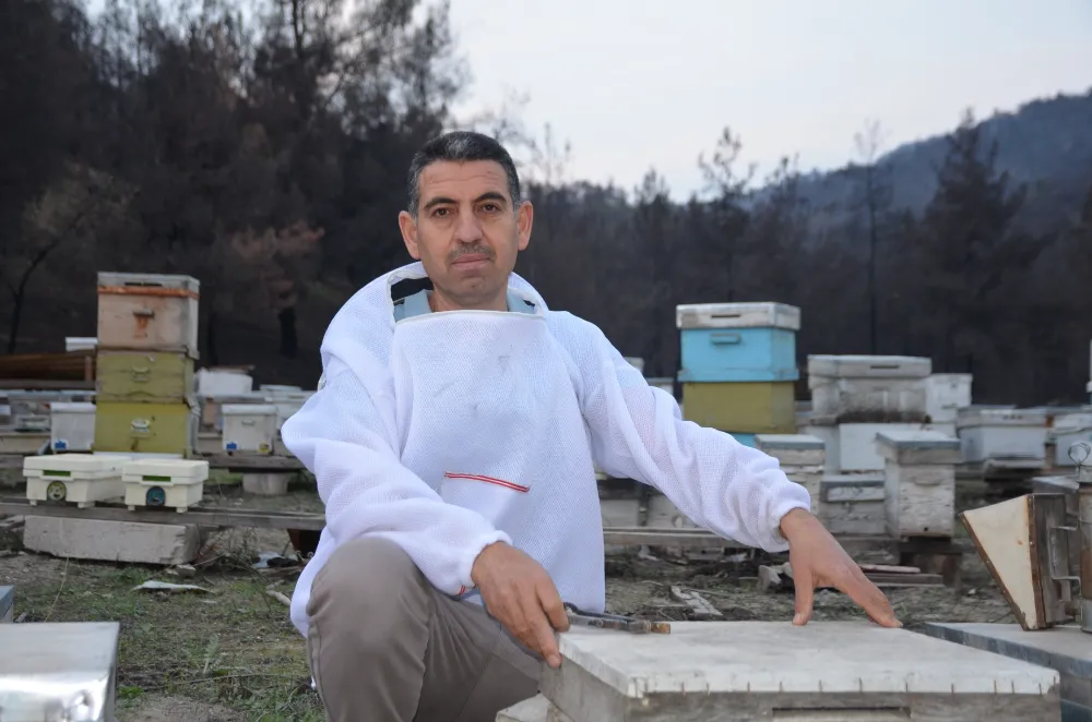 Bir Kovandan Türkiye Çapına: Bilecikli Arıcının Ana Arı Üretimindeki Başarı Hikâyesi