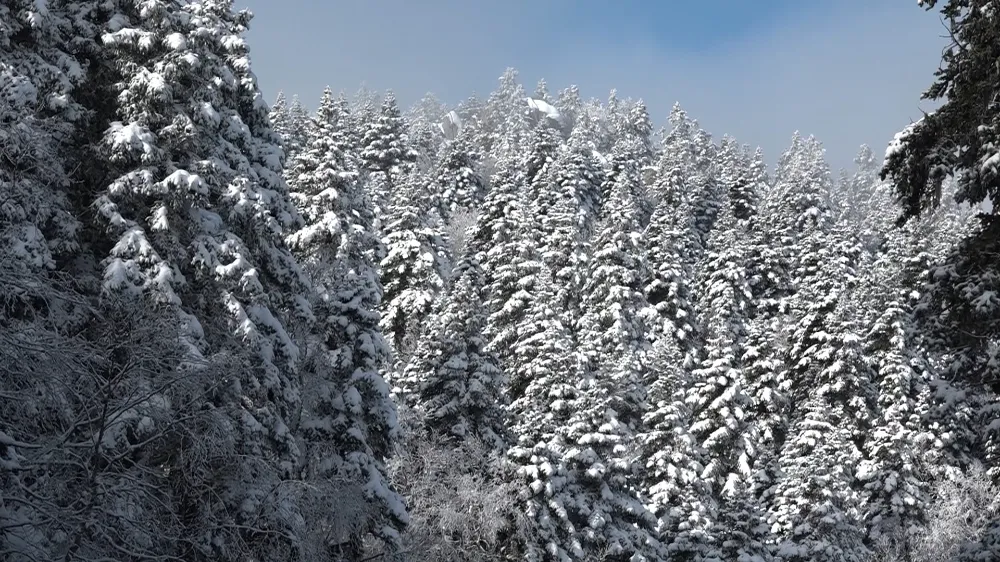 Uludağ’da Sis Etkili Oldu, Görüş Mesafesi Sadece 5 Metreye Düştü