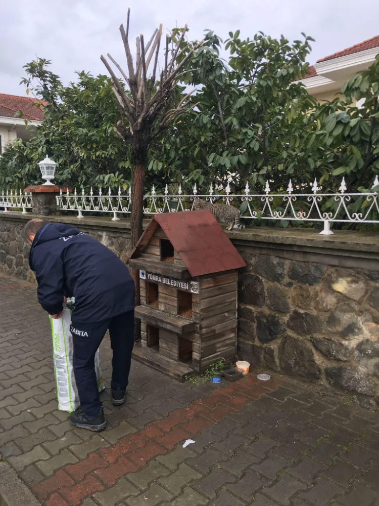 Yomra Belediyesi, Sokak Hayvanlarını Unutmadı