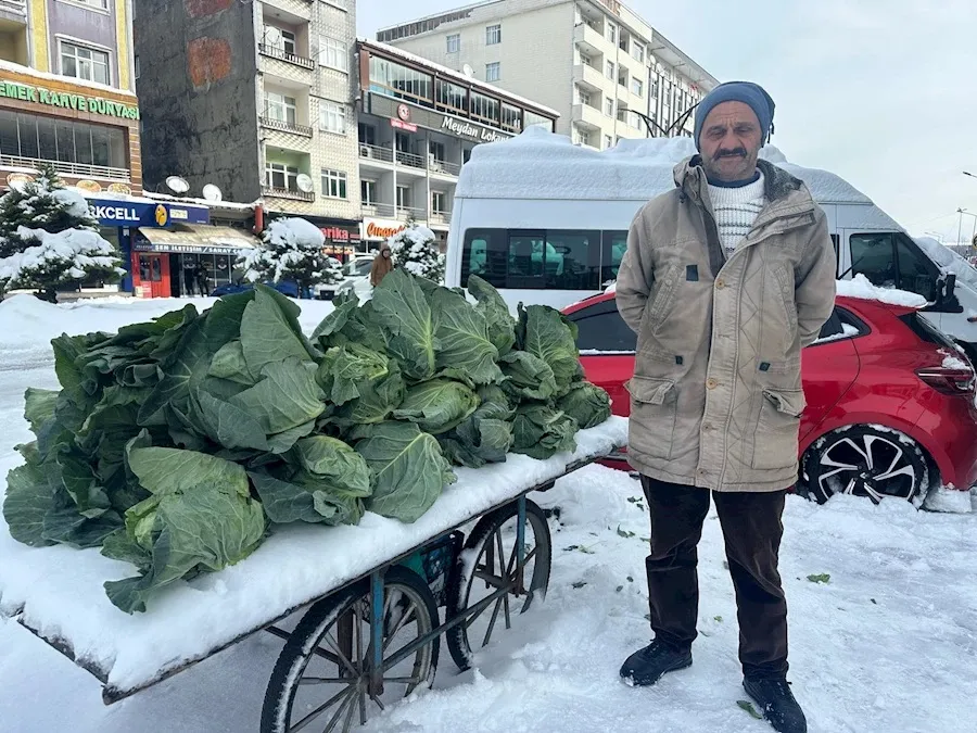 Rize’de Kar Altında Lezzet Şöleni: Lahana Fiyatları 50 TL’ye Ulaştı