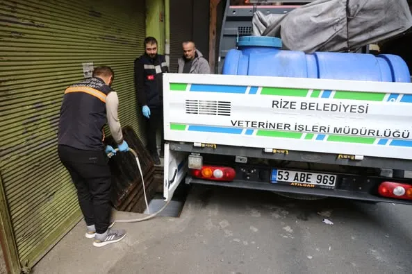 Rize Belediyesinden Sivrisineğe Karşı Larva Dönemi Mücadelesi