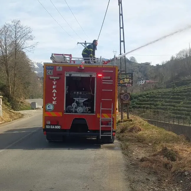 Çayeli Belediyesi İtfaiye Ekipleri Orman Yangınlarına Müdahale Etti