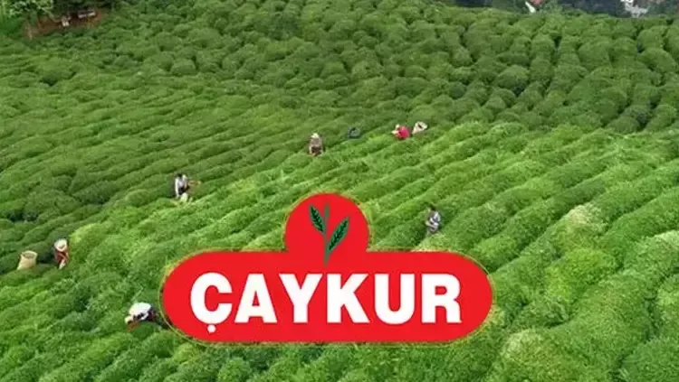 ÇAYKUR 1.500 İŞÇİ ALIMI BAŞVURU: ÇAYKUR 1.500 işçi alımı başvuruları ne zaman, başvurular nereden yapılır? Branş dağılımı açıklandı