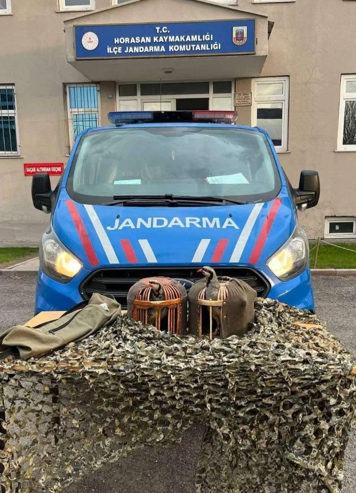Erzurum İl Jandarma Komutanlığı, Yasa Dışı Avcılıkla Mücadele Kapsamında Şahsa Ceza Uyguladı