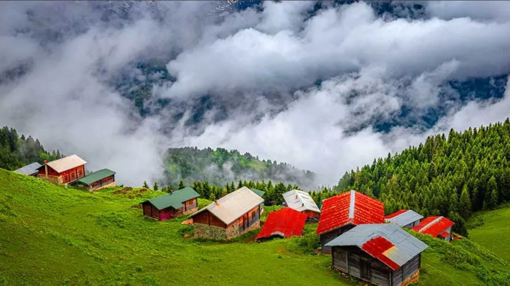 Rize