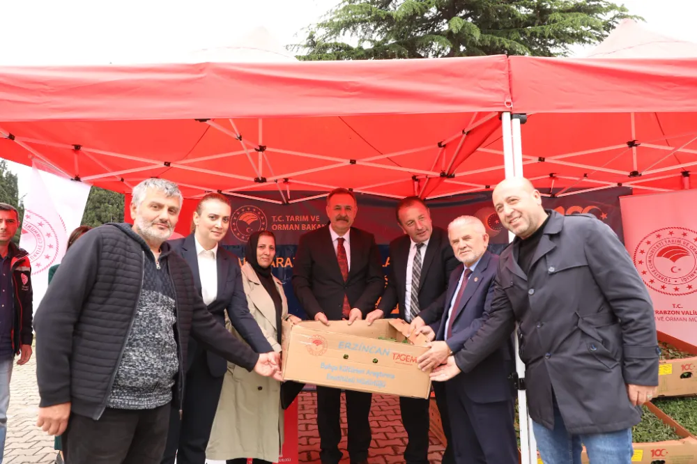 Trabzon’da Çiftçilere 260 Bin Sebze Fidesi Dağıtıldı