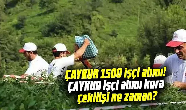ÇAYKUR 1500 işçi alımı! ÇAYKUR işçi alımı kura çekilişi ne zaman?
