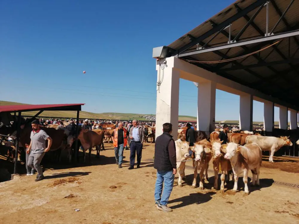 Bayburt’ta Kurban Bayramı Hazırlıkları Tüm Hızıyla Sürüyor