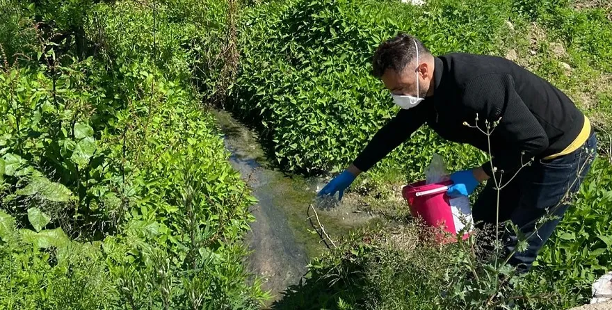 Pazar Belediyesi’nden Halk Sağlığı İçin Larva İlaçlama Çalışması
