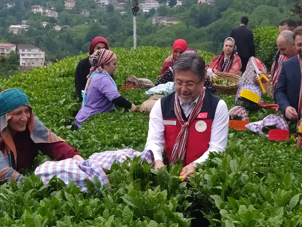 Tarım Ve Orman Bakanı Yumaklı Çayda Korktuğumuz Olmadı