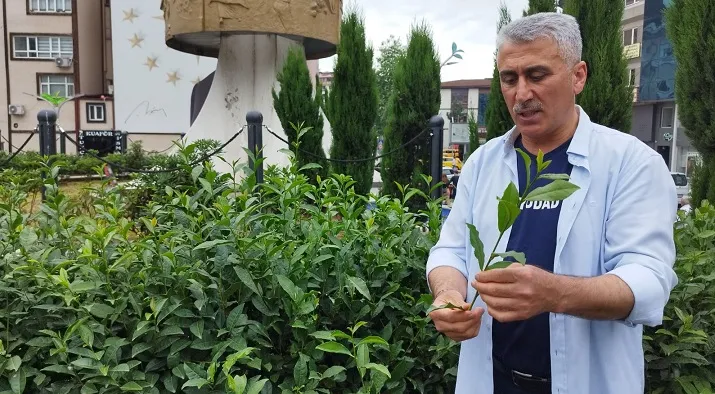 Çay üreticilerinden Bakan Yumaklı