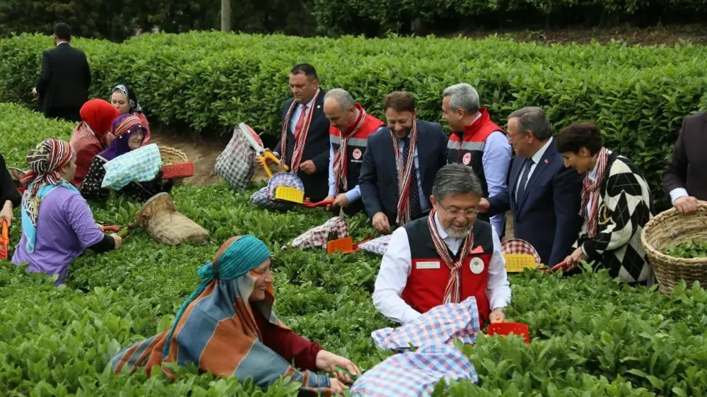 Tarım Bakanı Rize