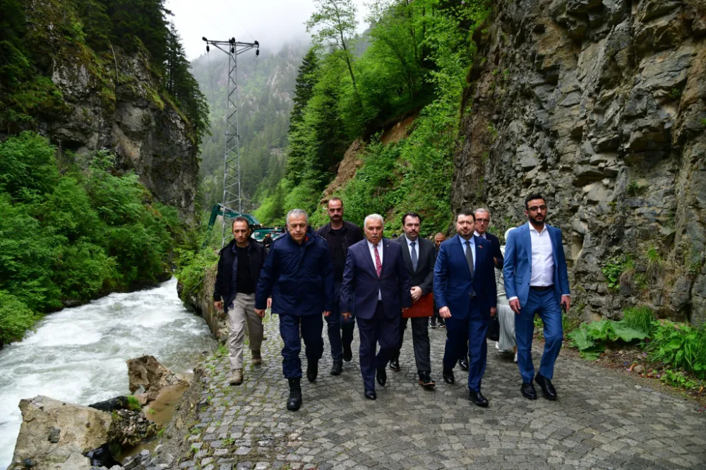 Haldizen Deresi