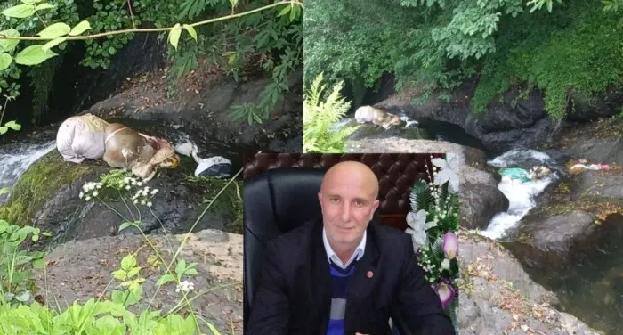 Rize