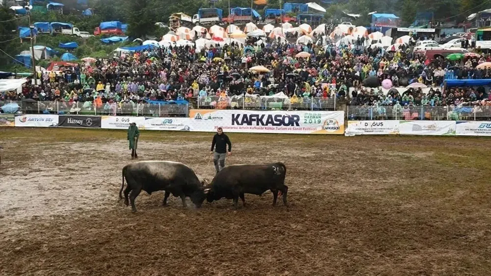 Kafkasör Festivali