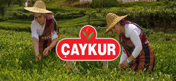 Mayıs Ayı Yaş Çay ve Budama Ücretleri Üreticilere Ödeniyor