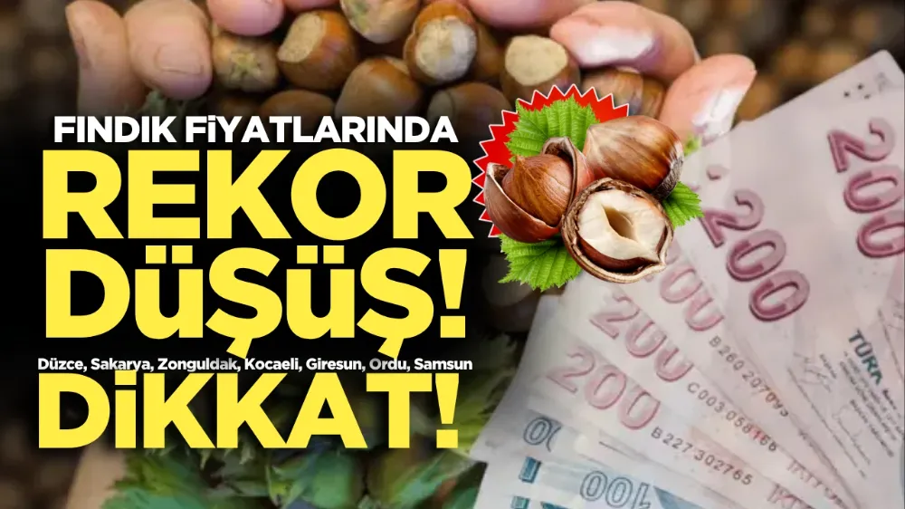 Fındık fiyatları serbest piyasada yükselmiyor, üreticiler zor durumda!