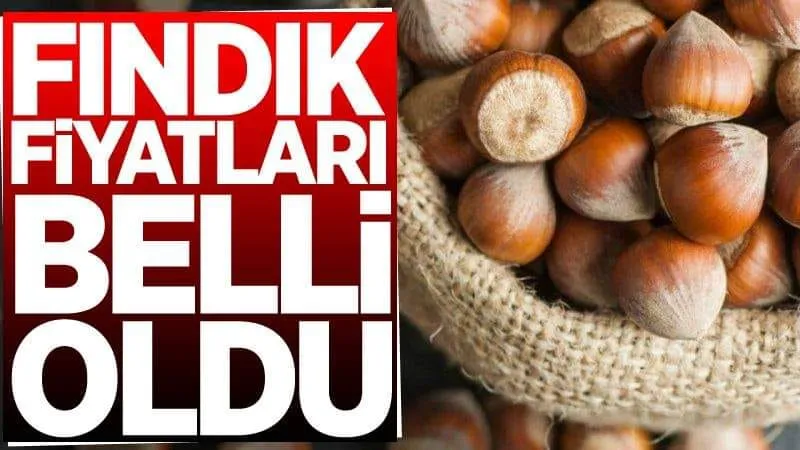 Ordu, Giresun, Sakarya, Samsun, Trabzon, Zonguldak, Kocaeli, Düzce serbest piyasa fındık fiyatları...