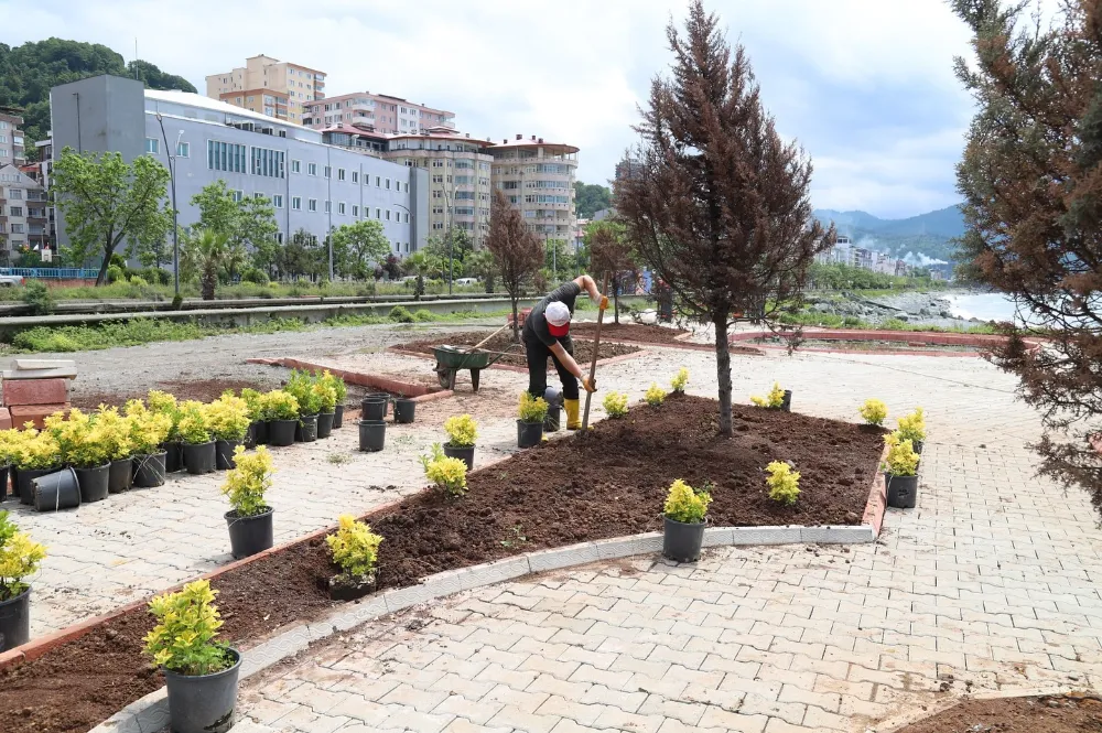 Hopa Belediyesi Kurban Bayramı öncesi çevre düzenlemesi ve temizlik çalışmalarına hız verdi