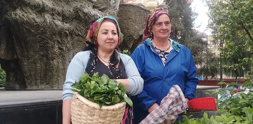 Çay Üreticisi Neziha Yıldırım’dan Tepki: ÇAYKUR İşçi Vermiyor, Parasını Bizden Kesiyorlar