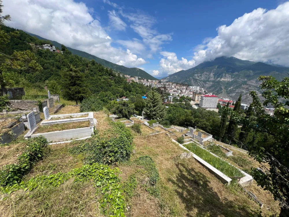 Artvin