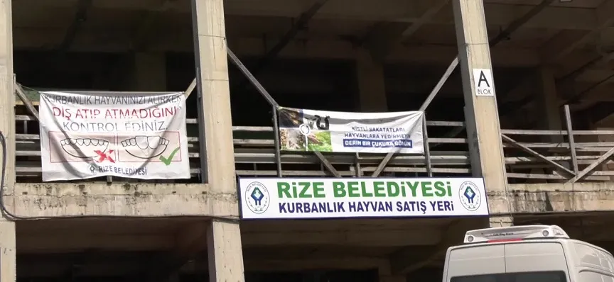 Rize Hayvan Pazarı