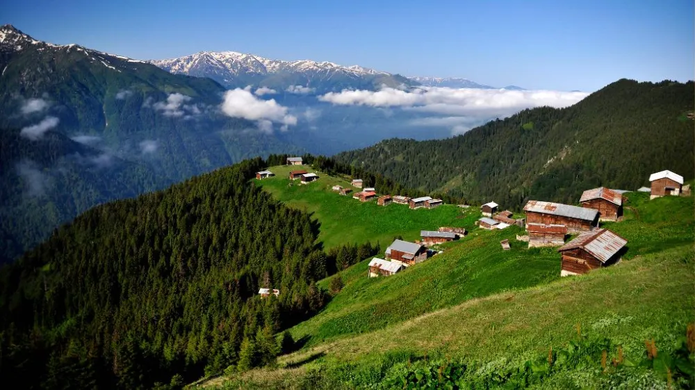 Rize
