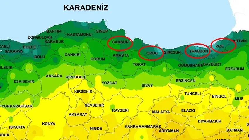 Samsun, Ordu, Trabzon ve Rize