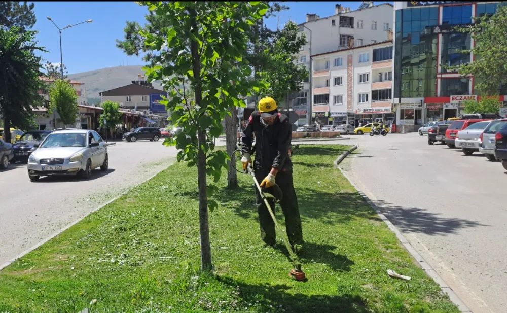 Bayburt