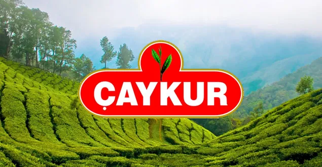 ÇAYKUR’dan Uyarı: İkinci Sürgünde 2 Günlük Stok Oluştu, Üreticiler Acele Etmemeli
