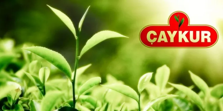 ÇAYKUR