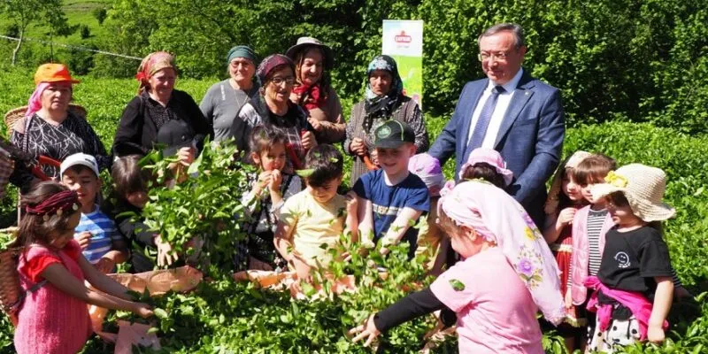 ÇAYKUR Üst Üste 3. Yılında da Kar Açıkladı