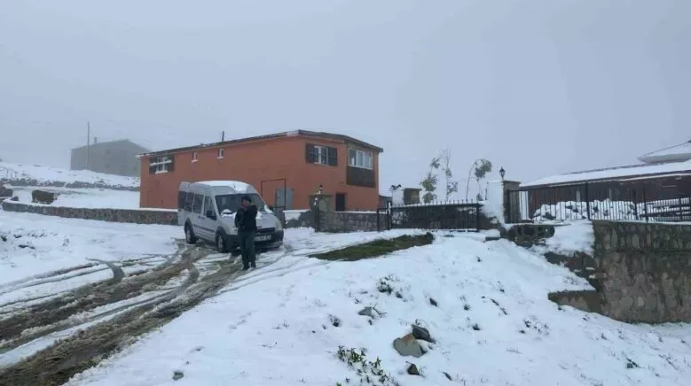 Rize