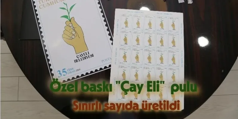 Özel baskı 