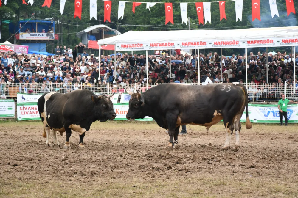 Kafkasör Arenasında Nefes Kesen Final: Küçük Başaltı Şampiyonu Mercan Oldu