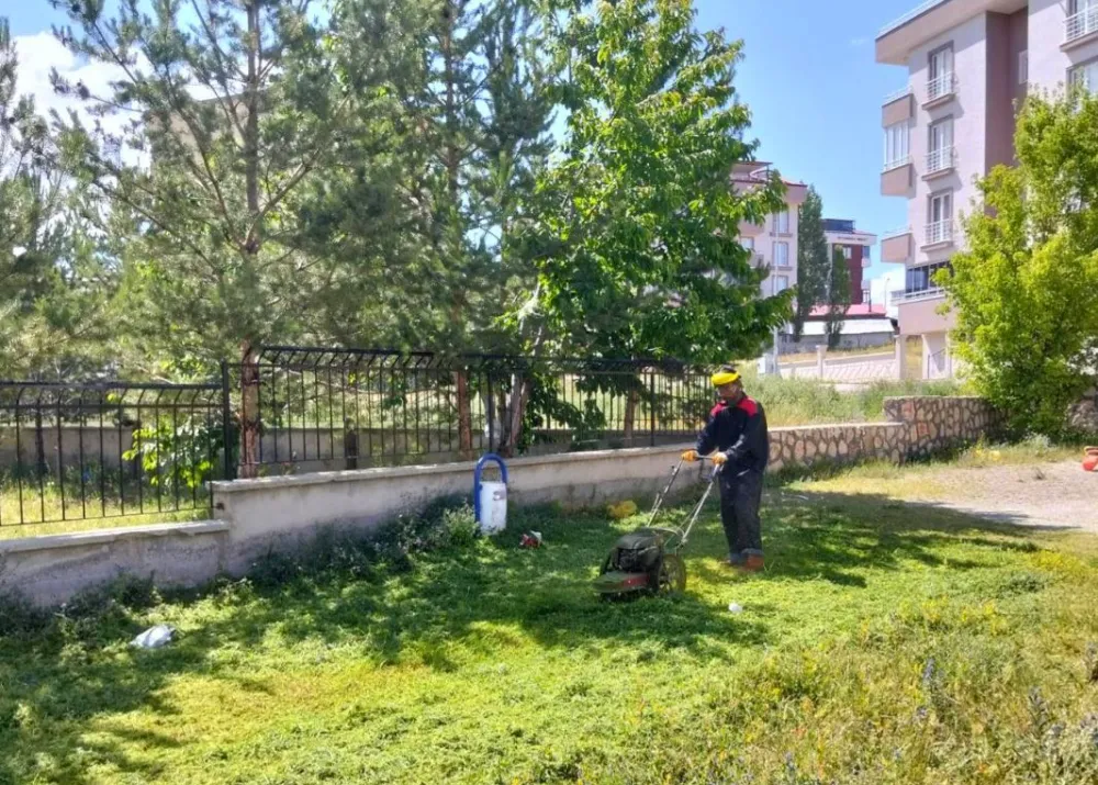Bayburt