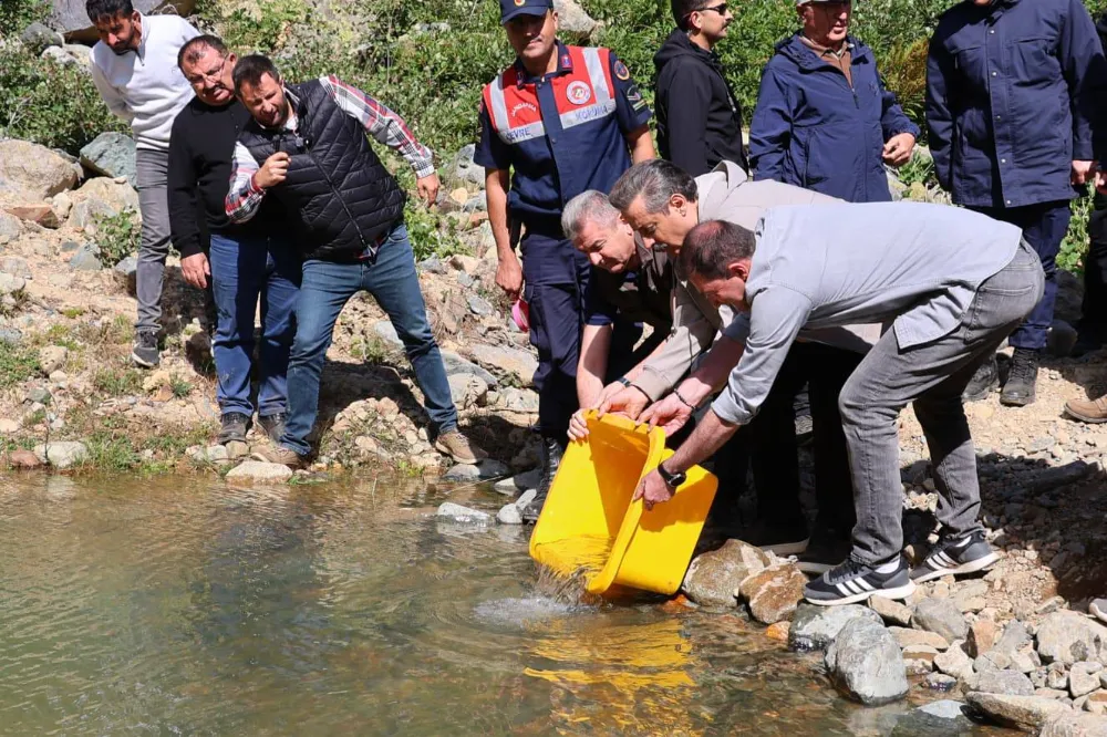 Artvin’de Yüksekoba Deresi’ne 5 Bin Kırmızı Benekli Yavru Alabalık Salındı