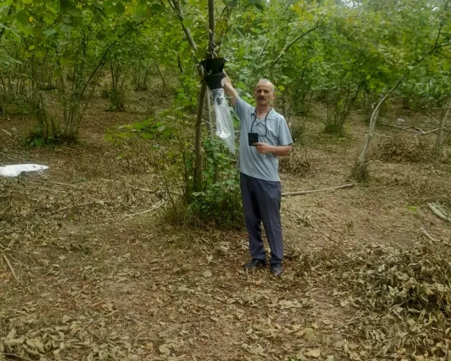 Arsin’de Kahverengi Kokarca Mücadelesi İçin İş Birliği