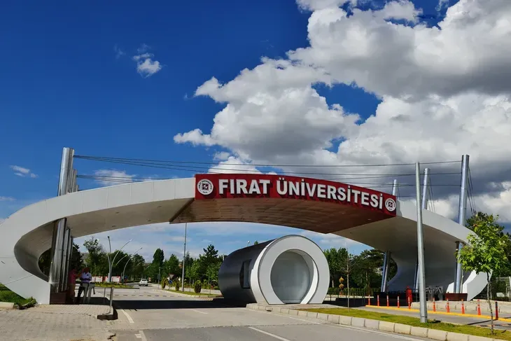 Fırat Üniversitesi Öğretim Üyesi Alımı 2025: Başvuru Şartları ve Tarihleri
