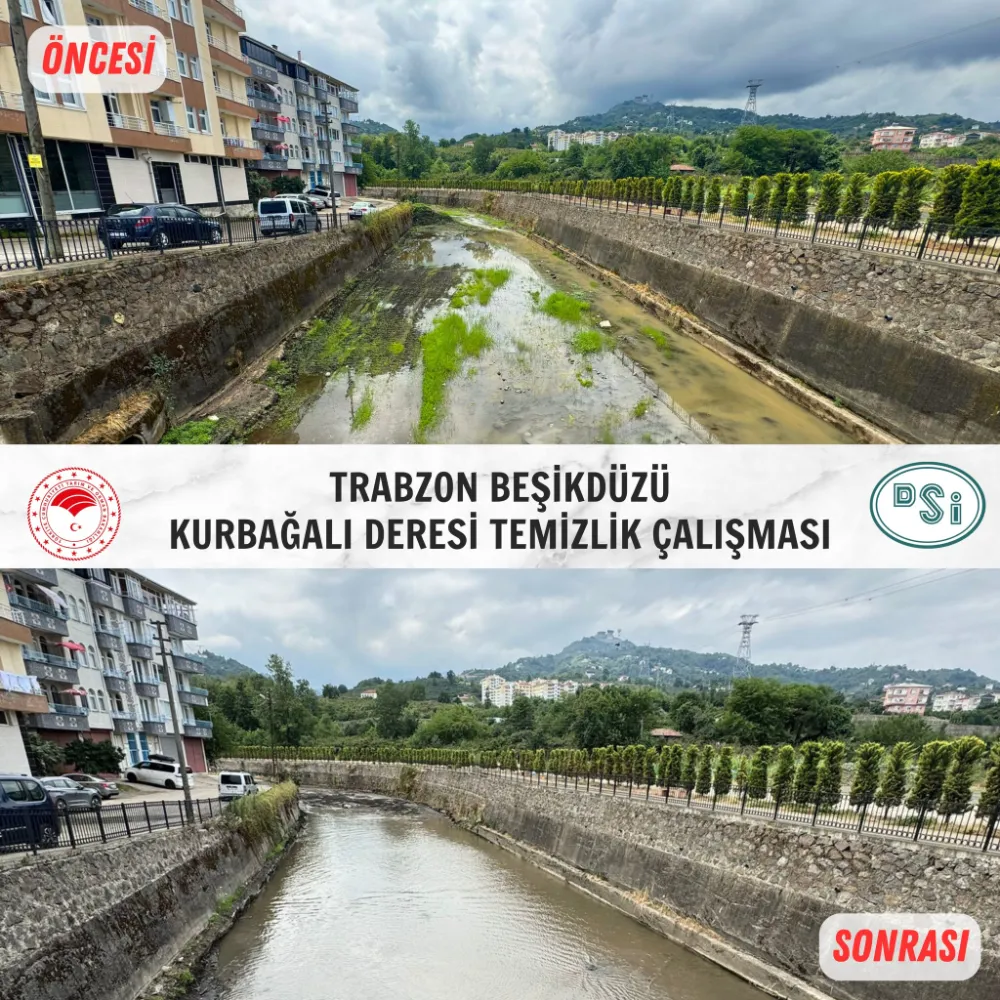 Kurbağalı Deresi