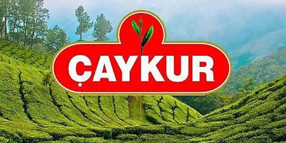 ÇAYKUR, 2025 Yılı Üçüncü Sürgün Yaş Çay Alımlarını 3 Eylül’de Başlatıyor