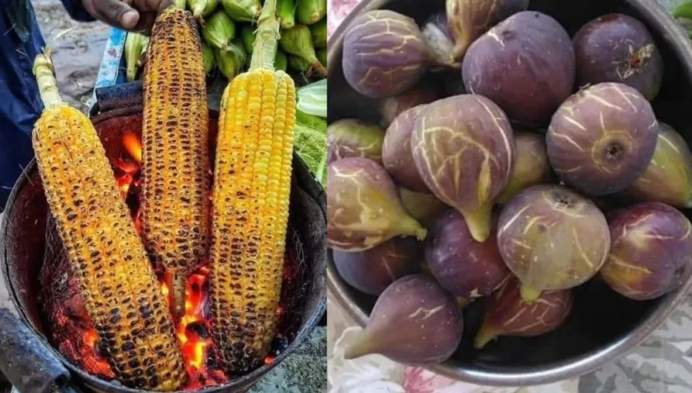 Rize’de Her Şey Mevsiminde Güzel: Karadeniz’in Bereketli Eylül Ayı