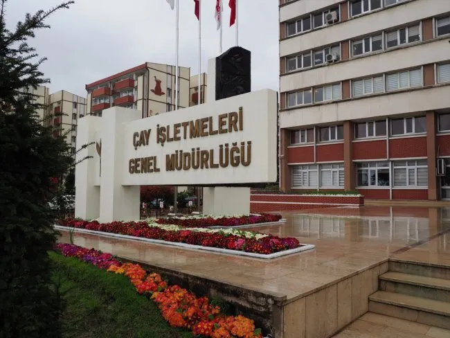 ÇAYKUR, 1 Haftada 51 Bin Ton Yaş Çay Alımı Gerçekleştirdi