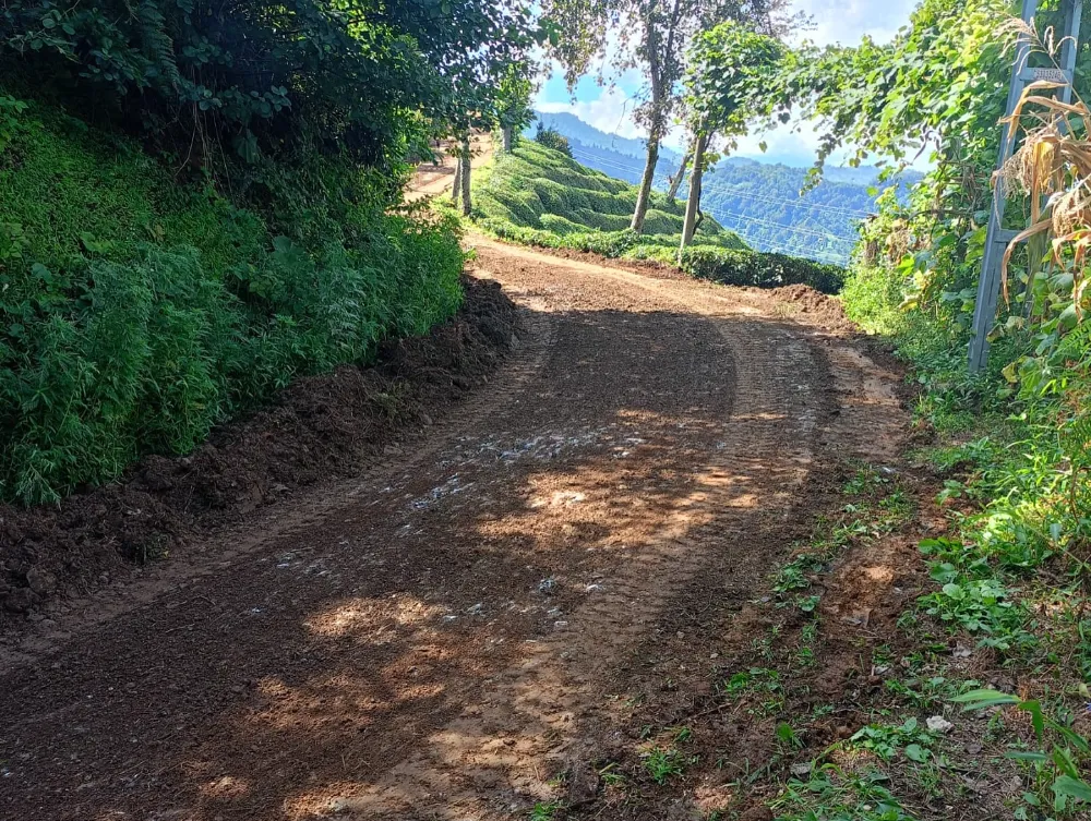 Hopa’da Yol Düzenleme Çalışmaları Başladı