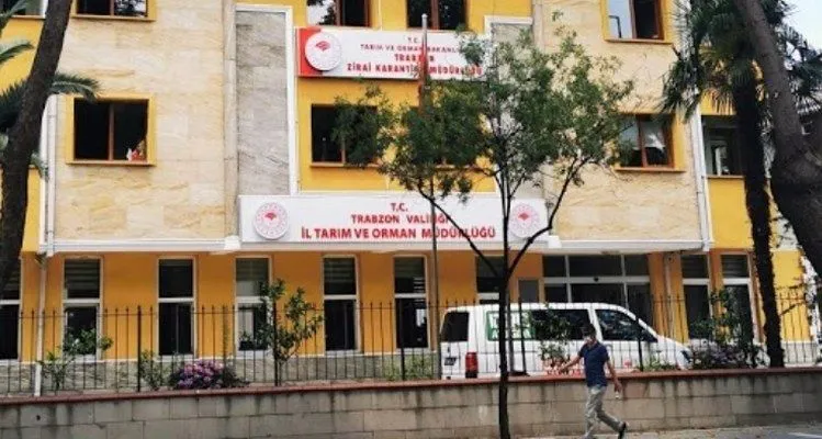 Trabzon’da Yasal Boy Altında Balık Satan İşletmelere Ceza Uygulandı