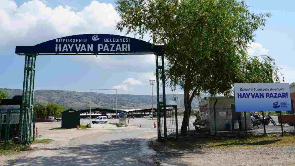 Büyükşehir