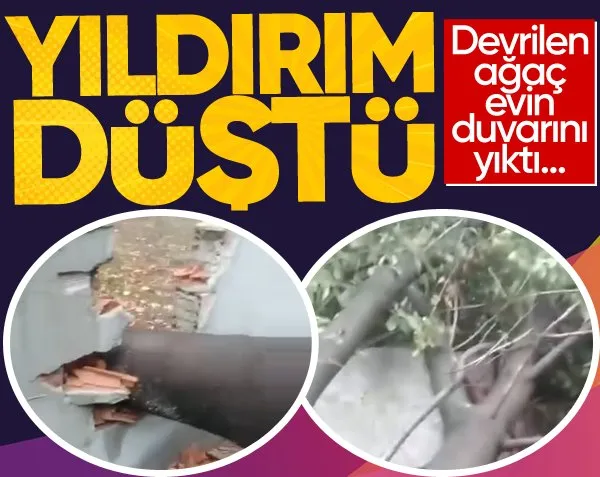 Yıldırım Düşmesiyle Devrilen Ağaç, Evin Duvarını Yerle Bir Etti!